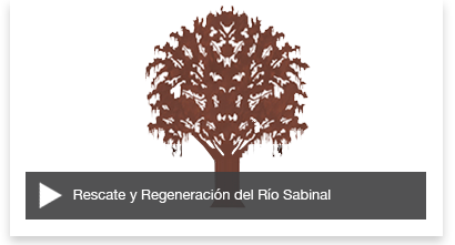Rio Sabinal