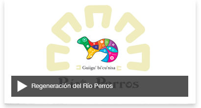 Rio de los perros
